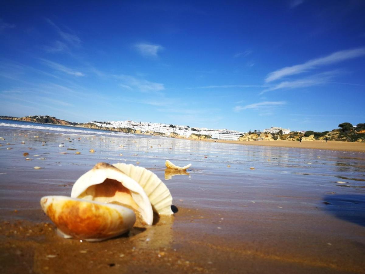 Apartamento Luxe With Pool, Airco And Seaview Balcony - Go4portugal - *
